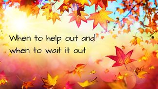 Image text: When to help out and when to wait it out